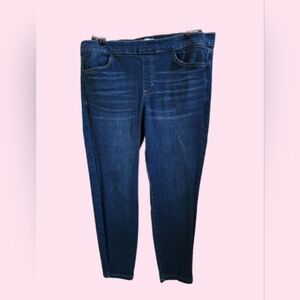 Sonoma Pull-On Skinny Jean - Size 16S